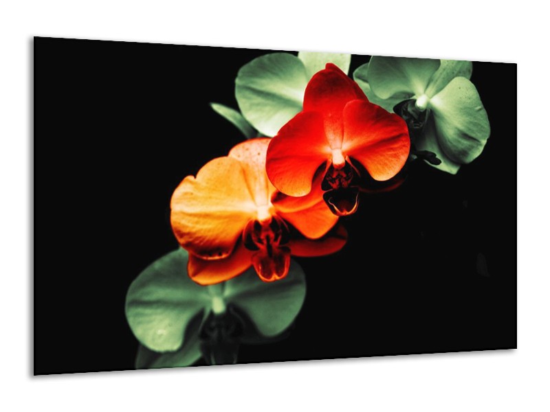 Canvas schilderij Orchidee | Rood, Groen, Zwart | 120x70cm 1Luik