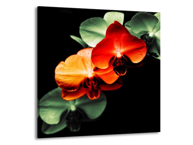 Canvas schilderij Orchidee | Rood, Groen, Zwart | 70x70cm 1Luik