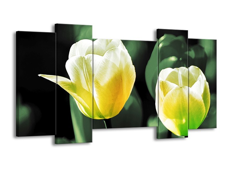 Canvas schilderij Tulp | Geel, Groen, Wit | 120x65 5Luik