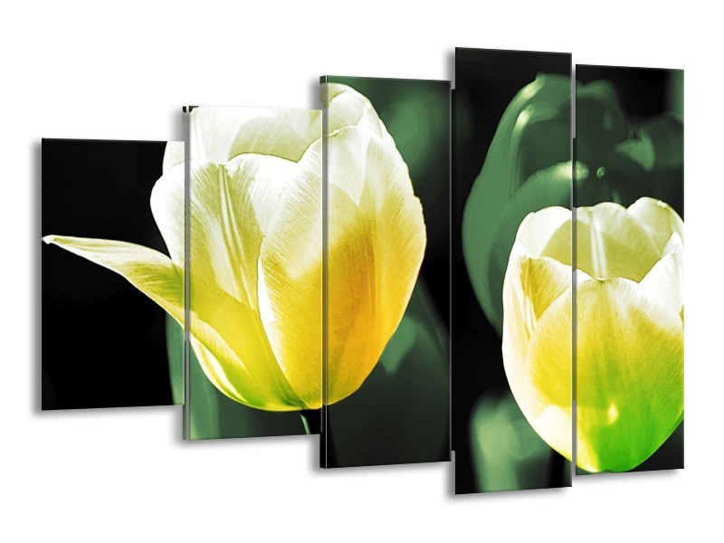Canvas schilderij Tulp | Geel, Groen, Wit | 150x100cm 5Luik