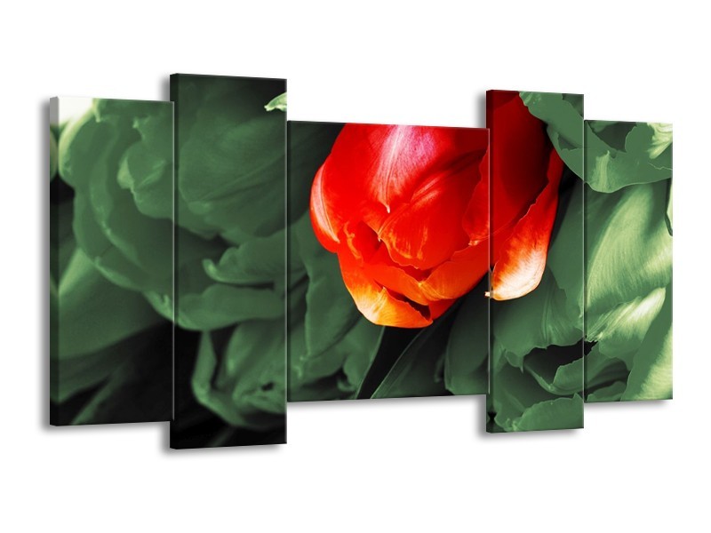 Canvas schilderij Tulp | Rood, Groen, Wit | 120x65 5Luik
