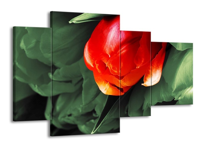 Canvas schilderij Tulp | Rood, Groen, Wit | 120x75cm 4Luik