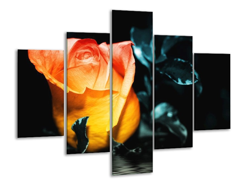 Canvas schilderij Roos | Geel, Oranje, Zwart | 100x70cm 5Luik