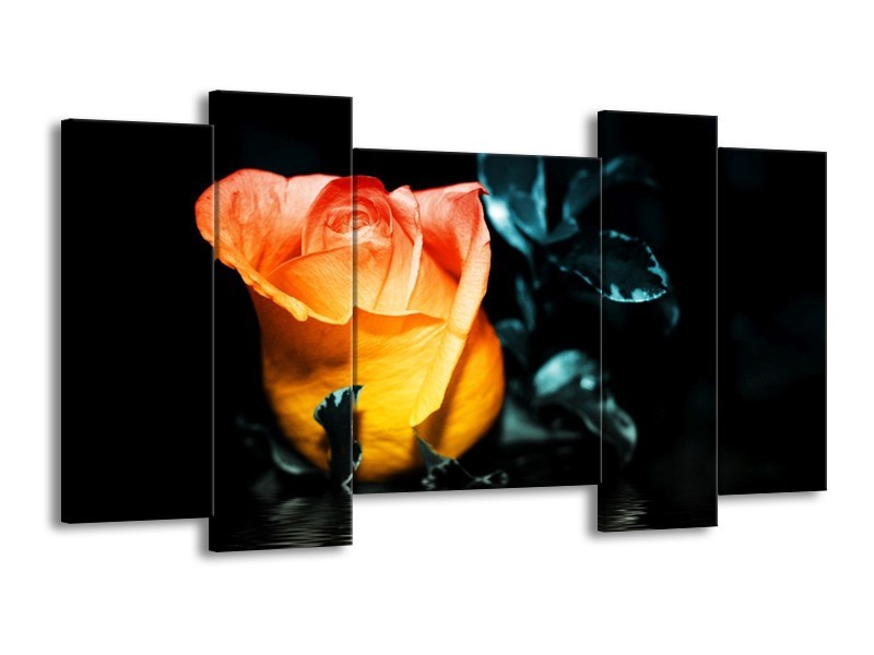 Canvas schilderij Roos | Geel, Oranje, Zwart | 120x65 5Luik