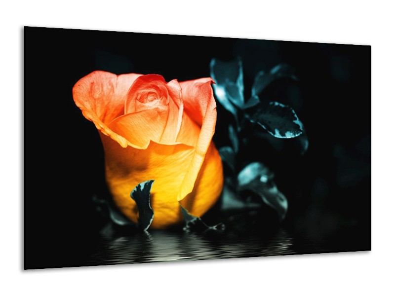 Canvas schilderij Roos | Geel, Oranje, Zwart | 120x70cm 1Luik