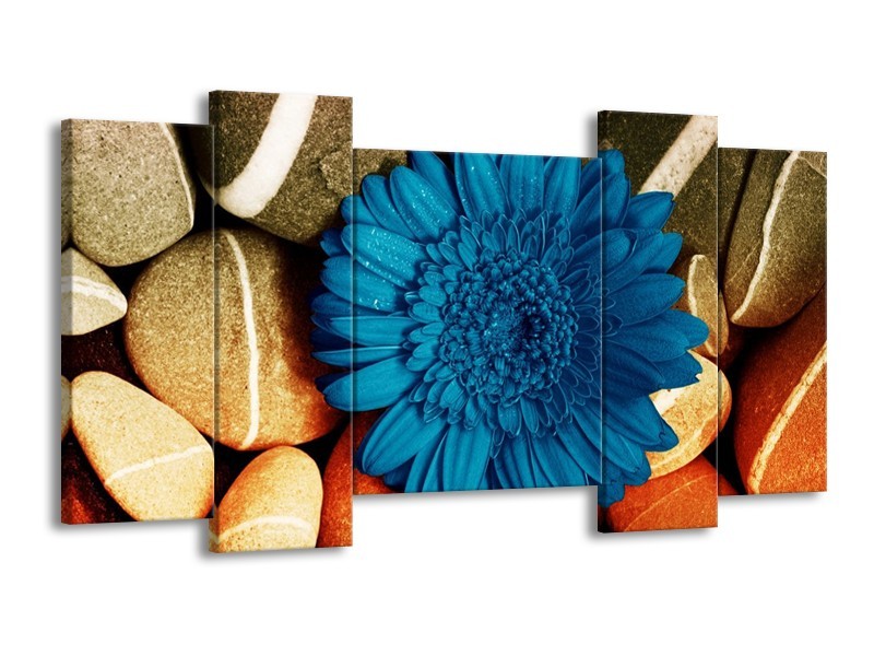 Canvas schilderij Bloem | Blauw, Oranje, Grijs | 120x65 5Luik