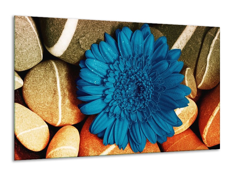 Canvas schilderij Bloem | Blauw, Oranje, Grijs | 120x70cm 1Luik