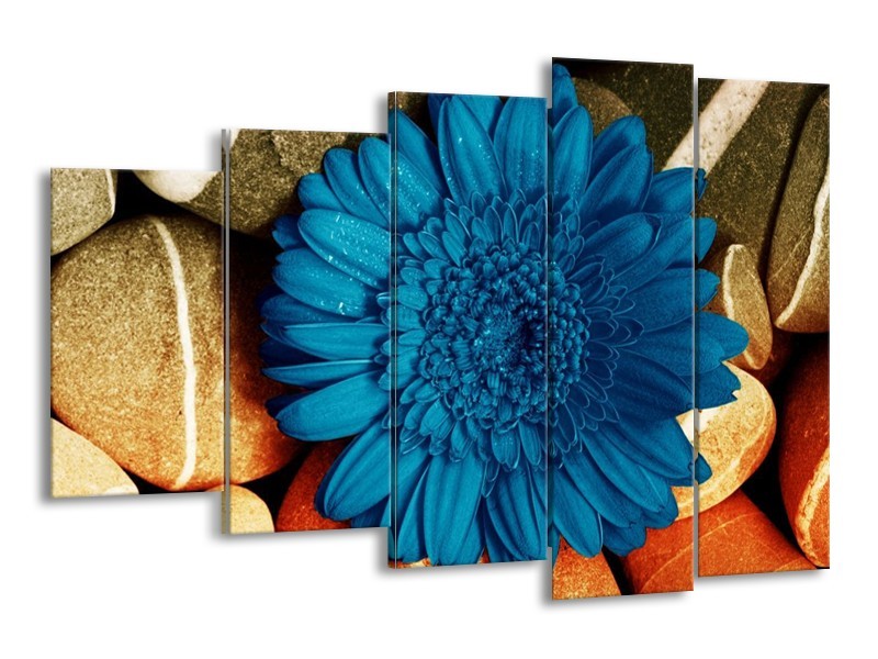 Canvas schilderij Bloem | Blauw, Oranje, Grijs | 150x100cm 5Luik