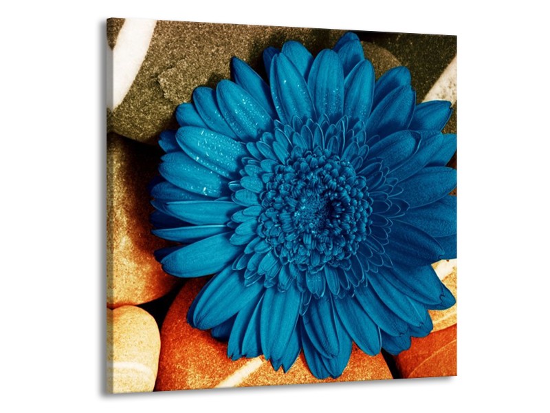 Canvas schilderij Bloem | Blauw, Oranje, Grijs | 70x70cm 1Luik