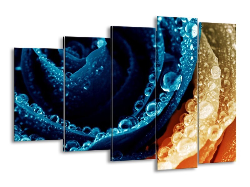 Canvas schilderij Roos | Blauw, Oranje | 150x100cm 5Luik