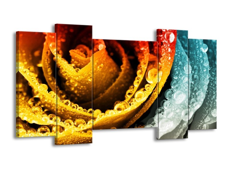 Canvas schilderij Roos | Geel, Blauw, Rood | 120x65 5Luik