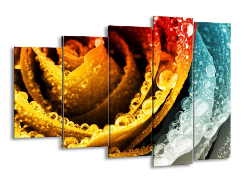 Canvas schilderij Roos | Geel, Blauw, Rood | 150x100cm 5Luik