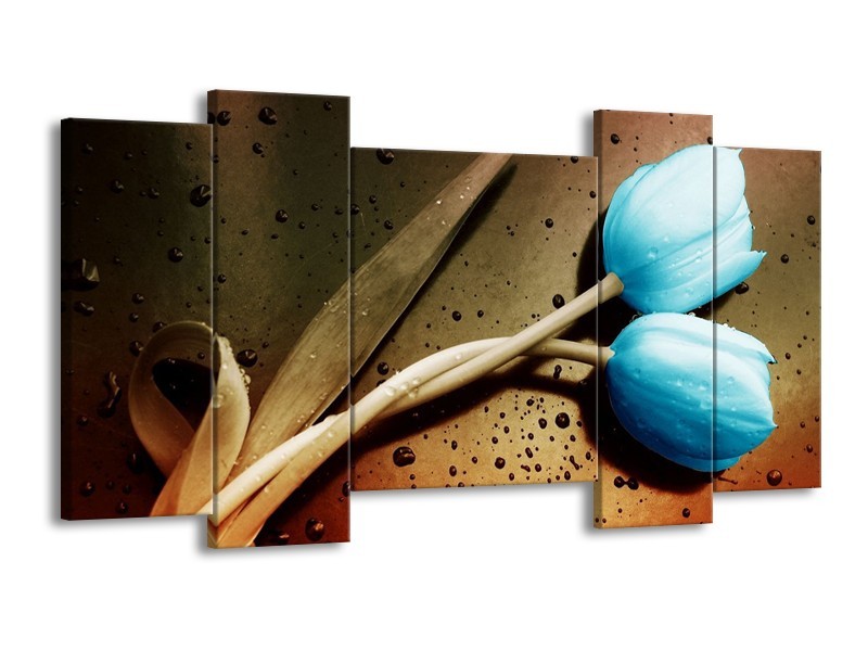 Canvas schilderij Tulp | Blauw, Wit, Bruin | 120x65 5Luik