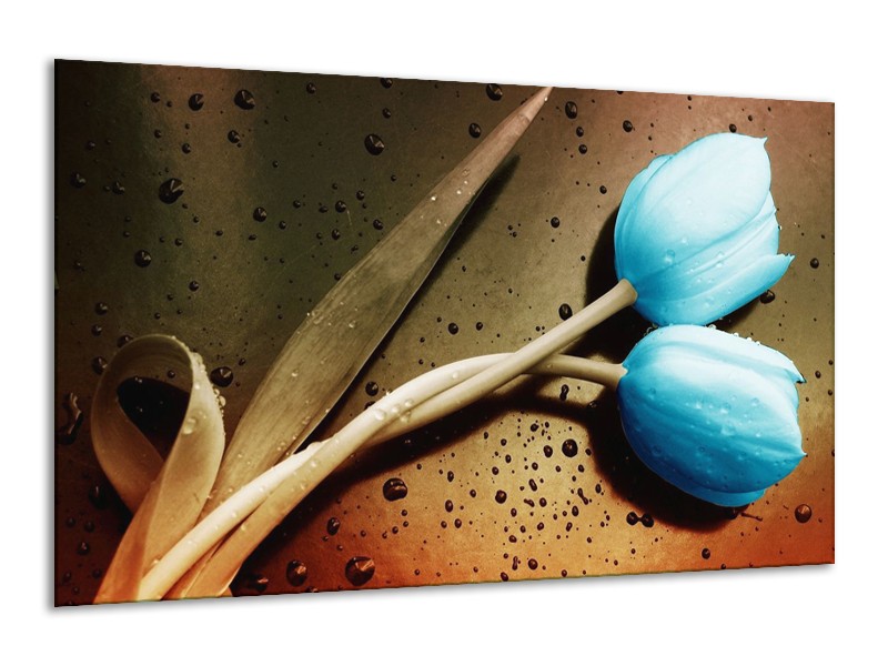 Canvas schilderij Tulp | Blauw, Wit, Bruin | 120x70cm 1Luik