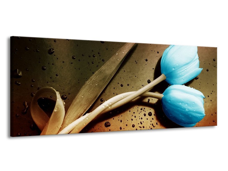 Canvas schilderij Tulp | Blauw, Wit, Bruin | 145x58cm 1Luik
