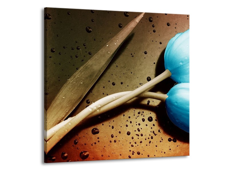Canvas schilderij Tulp | Blauw, Wit, Bruin | 70x70cm 1Luik