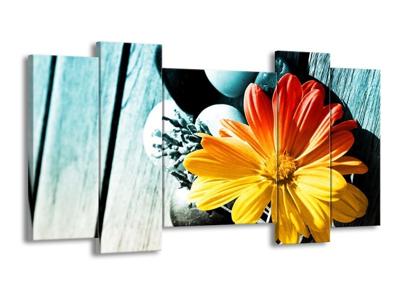 Canvas schilderij Bloem | Geel, Oranje, Blauw | 120x65 5Luik