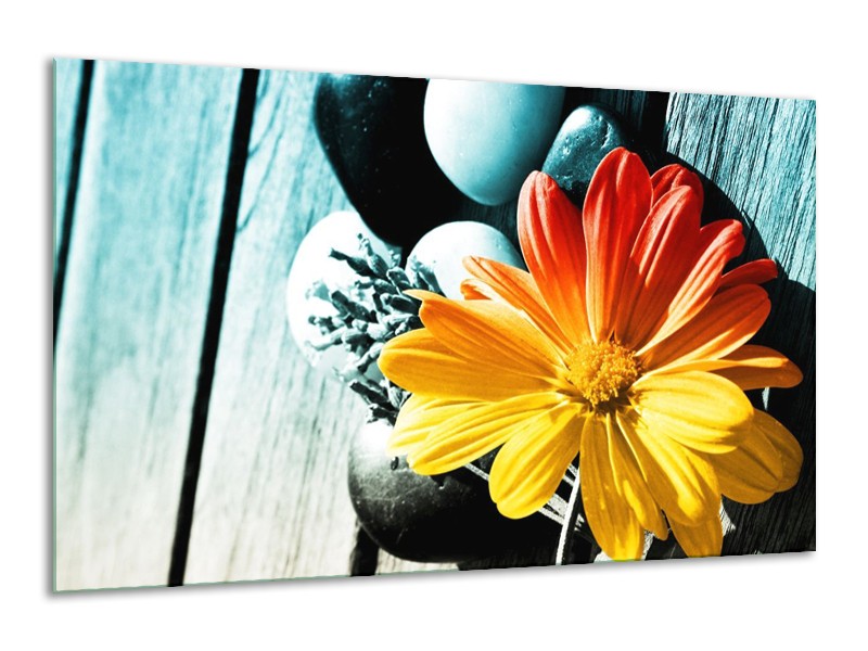 Canvas schilderij Bloem | Geel, Oranje, Blauw | 120x70cm 1Luik