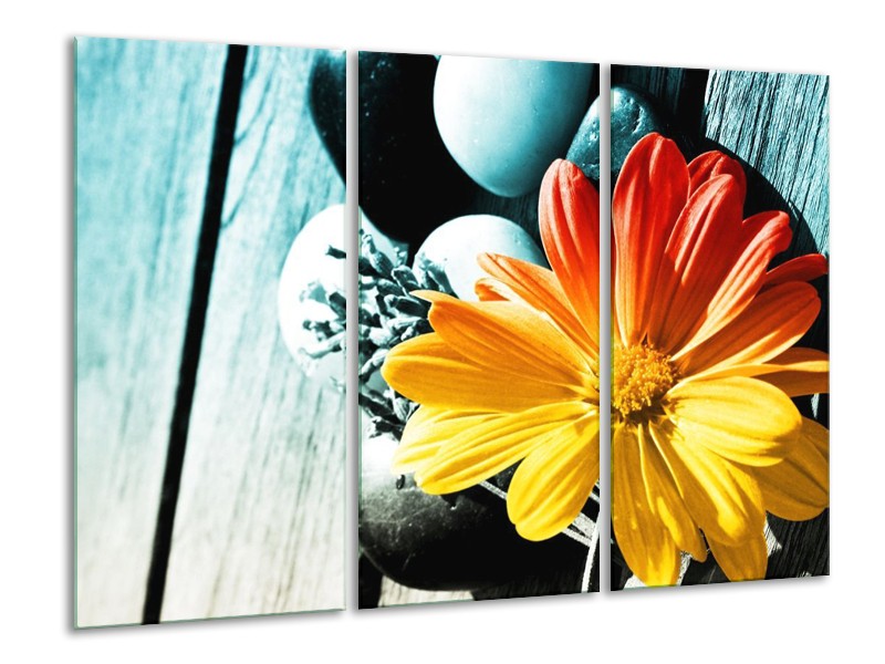 Canvas schilderij Bloem | Geel, Oranje, Blauw | 120x80cm 3Luik