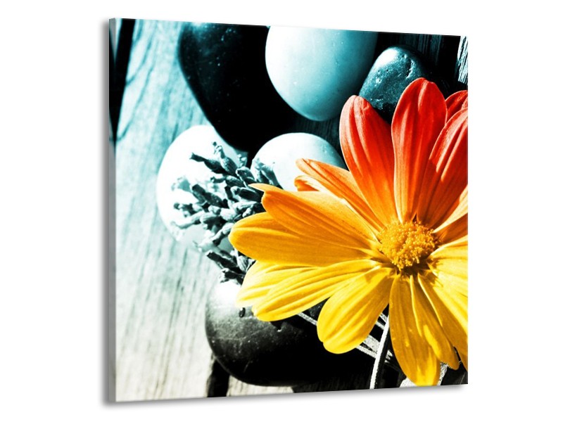 Canvas schilderij Bloem | Geel, Oranje, Blauw | 70x70cm 1Luik