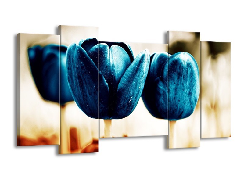Canvas schilderij Tulp | Blauw, Wit, Grijs | 120x65 5Luik