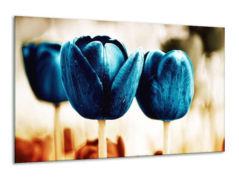 Canvas schilderij Tulp | Blauw, Wit, Grijs | 120x70cm 1Luik