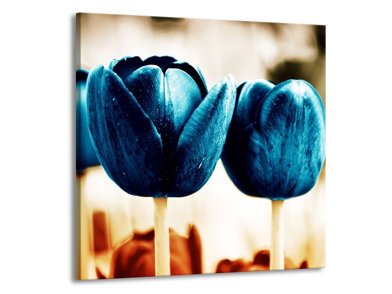 Canvas schilderij Tulp | Blauw, Wit, Grijs | 70x70cm 1Luik