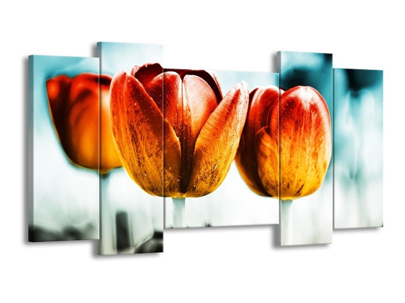 Canvas schilderij Tulp | Oranje, Rood, Blauw | 120x65 5Luik
