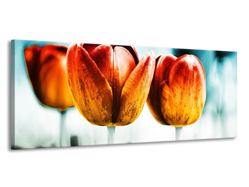 Canvas schilderij Tulp | Oranje, Rood, Blauw | 145x58cm 1Luik