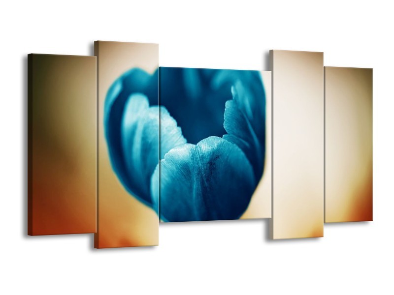 Canvas schilderij Tulp | Blauw, Oranje, Bruin | 120x65 5Luik