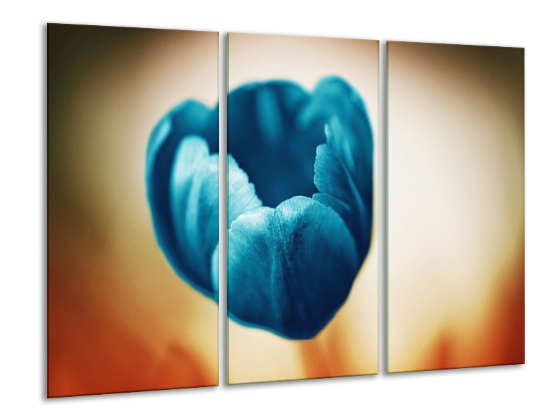 Canvas schilderij Tulp | Blauw, Oranje, Bruin | 120x80cm 3Luik