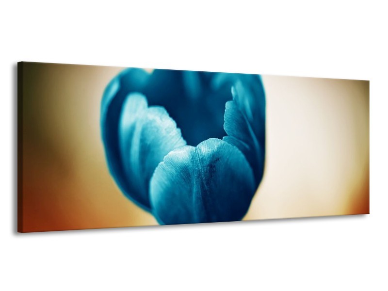 Canvas schilderij Tulp | Blauw, Oranje, Bruin | 145x58cm 1Luik