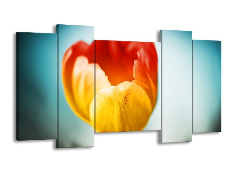 Canvas schilderij Tulp | Oranje, Rood, Blauw | 120x65 5Luik