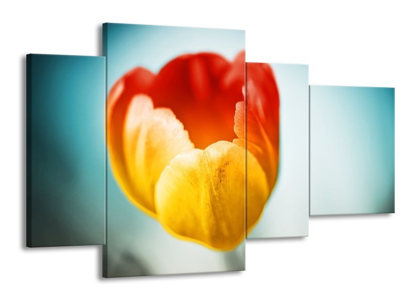 Canvas schilderij Tulp | Oranje, Rood, Blauw | 120x75cm 4Luik