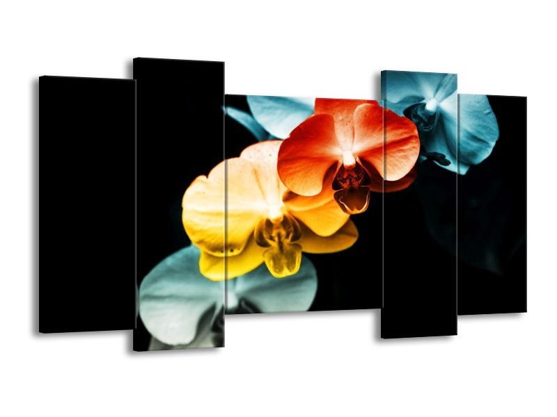 Canvas schilderij Orchidee | Oranje, Rood, Blauw | 120x65 5Luik