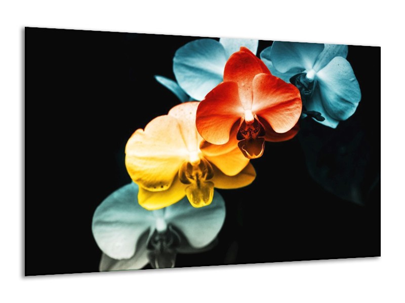 Canvas schilderij Orchidee | Oranje, Rood, Blauw | 120x70cm 1Luik
