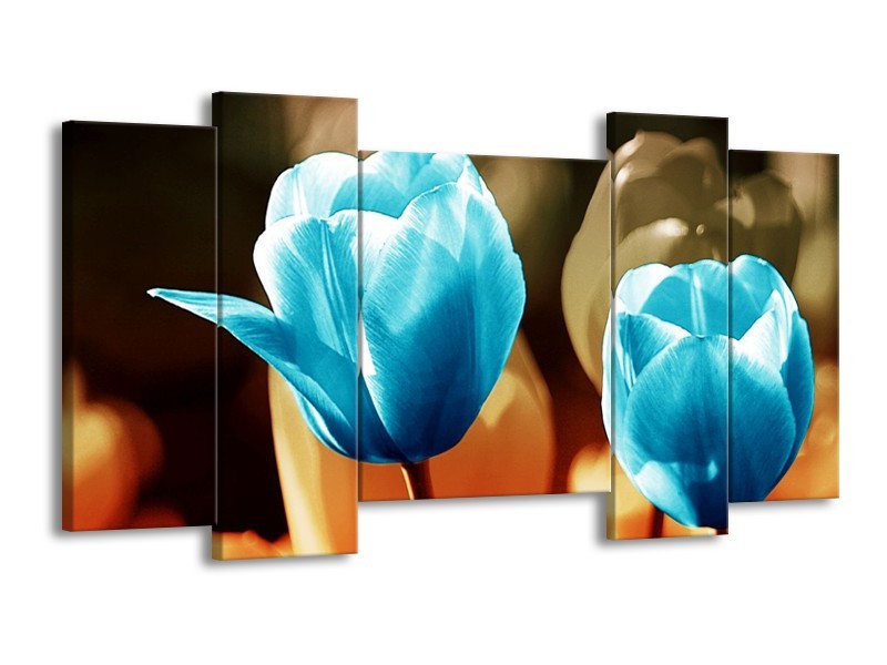 Canvas schilderij Tulp | Blauw, Oranje, Bruin | 120x65 5Luik