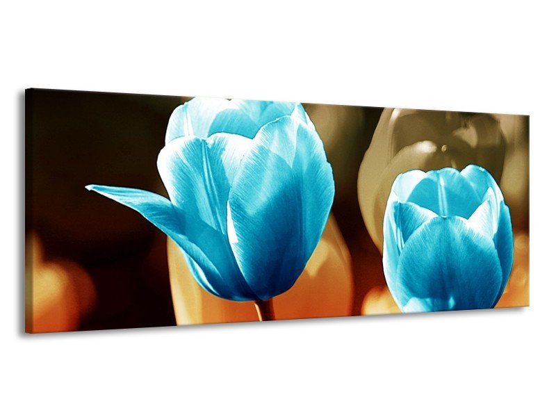 Canvas schilderij Tulp | Blauw, Oranje, Bruin | 145x58cm 1Luik