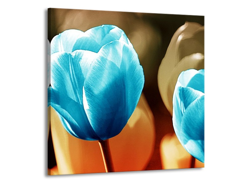 Canvas schilderij Tulp | Blauw, Oranje, Bruin | 70x70cm 1Luik
