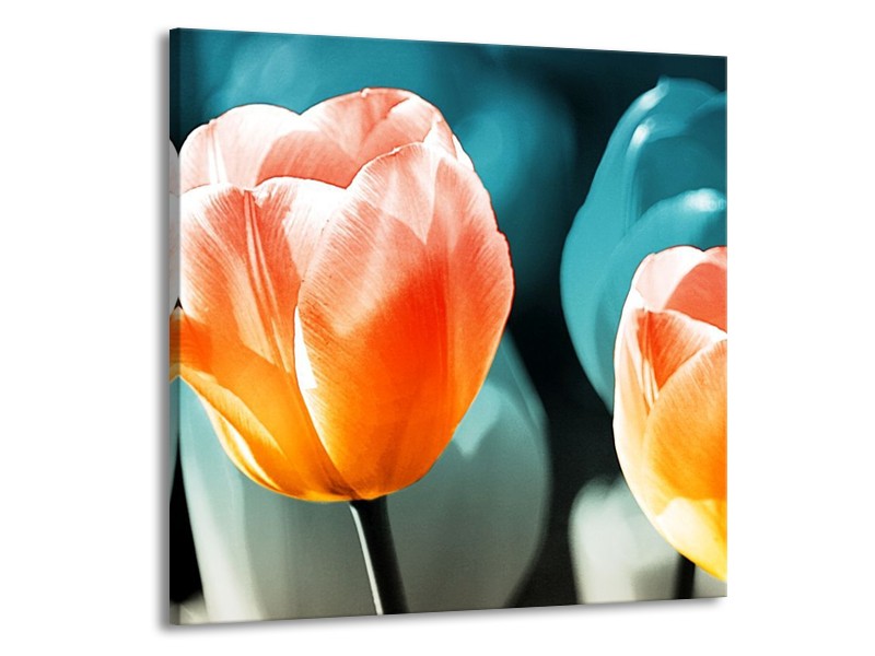 Canvas schilderij Tulp | Blauw, Oranje | 70x70cm 1Luik