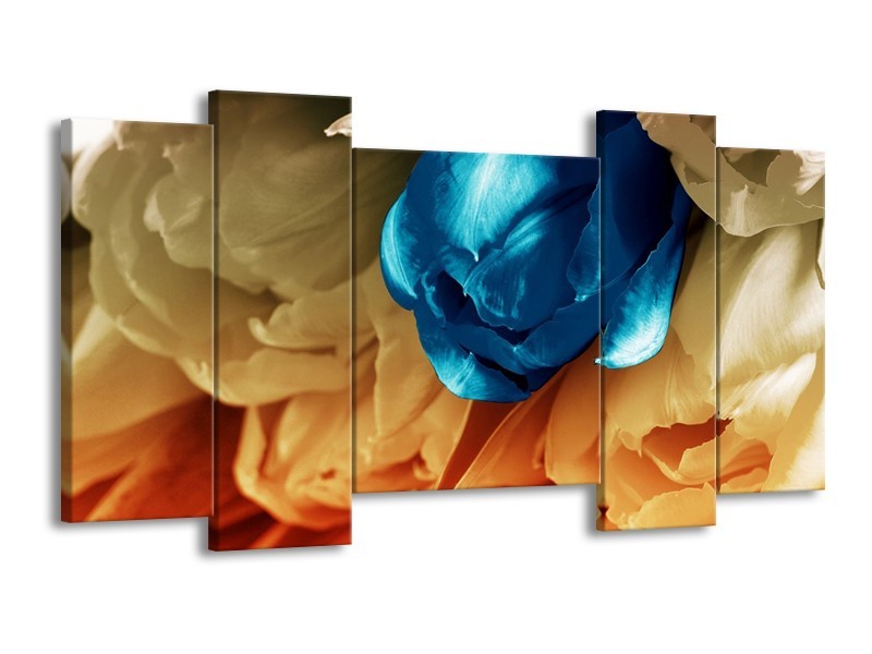 Canvas schilderij Tulp | Blauw, Grijs | 120x65 5Luik