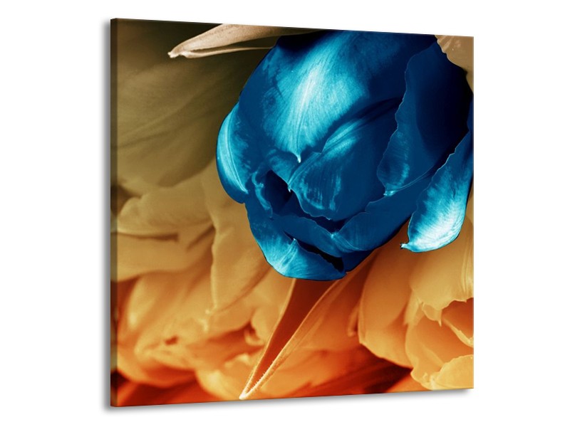 Canvas schilderij Tulp | Blauw, Grijs | 70x70cm 1Luik