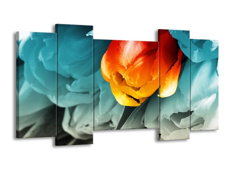 Canvas schilderij Tulp | Oranje, Rood, Blauw | 120x65 5Luik