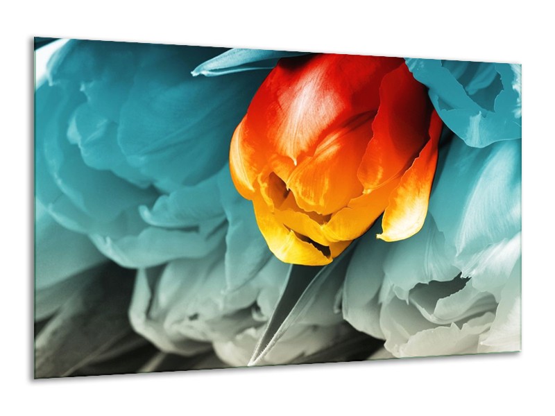 Canvas schilderij Tulp | Oranje, Rood, Blauw | 120x70cm 1Luik