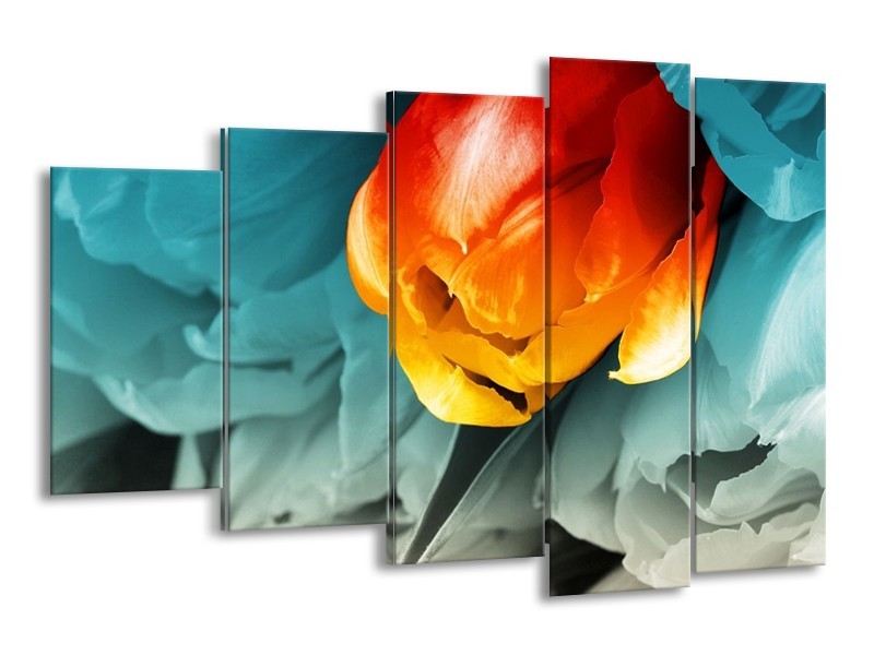 Canvas schilderij Tulp | Oranje, Rood, Blauw | 150x100cm 5Luik