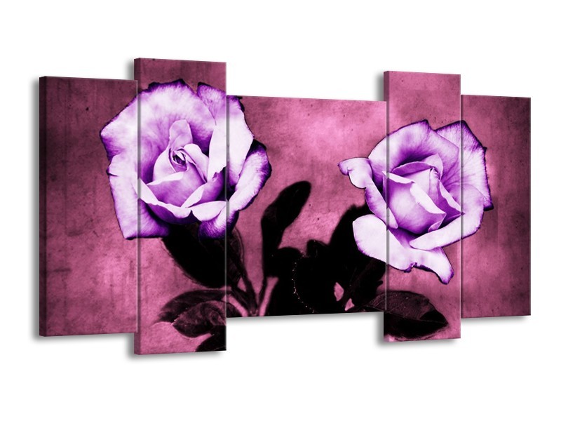 Canvas schilderij Roos | Paars, Wit, Zwart | 120x65 5Luik