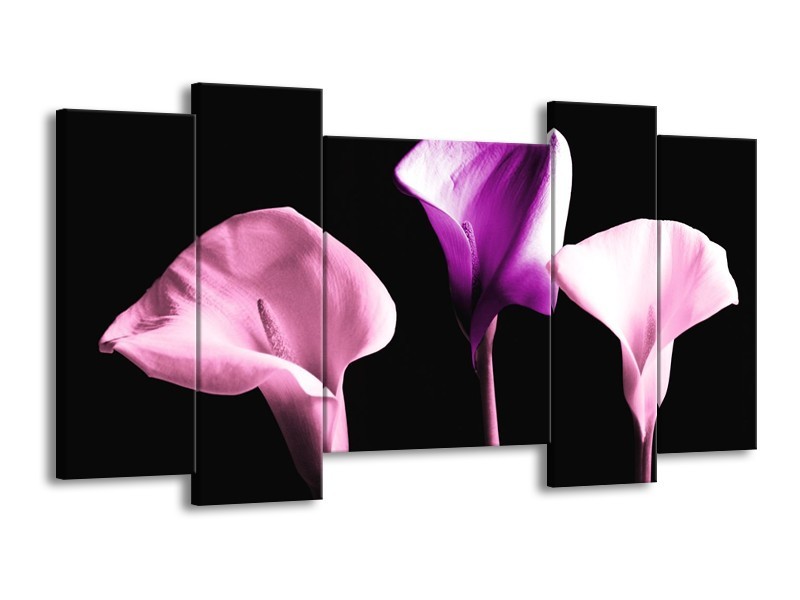 Canvas schilderij Bloem | Paars, Wit, Zwart | 120x65 5Luik
