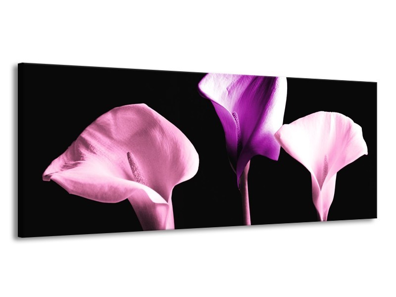 Canvas schilderij Bloem | Paars, Wit, Zwart | 145x58cm 1Luik