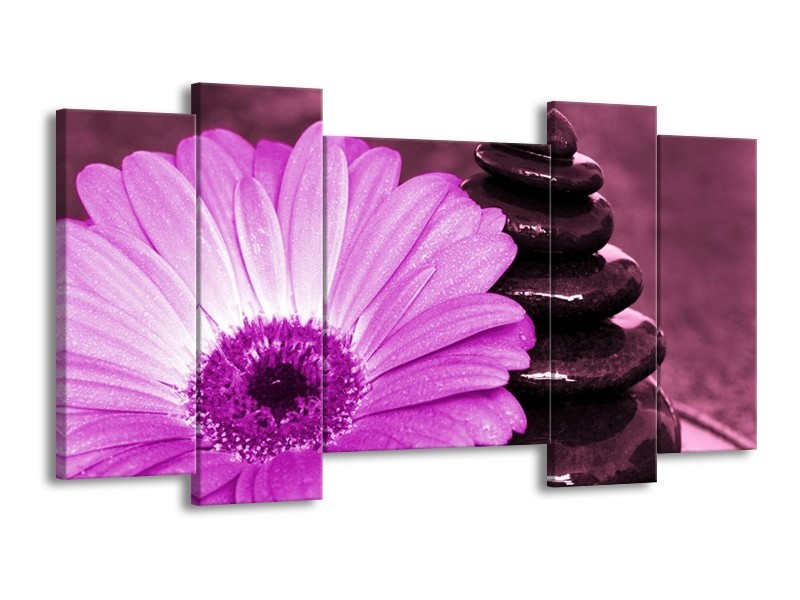 Canvas schilderij Bloem | Paars, Wit, Zwart | 120x65 5Luik