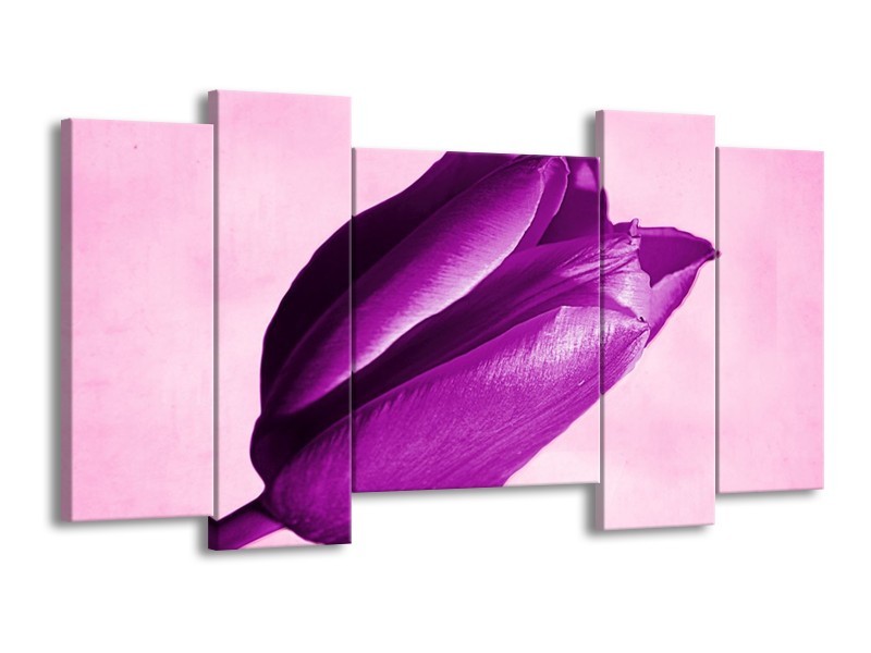 Canvas schilderij Tulp | Paars, Wit, Zwart | 120x65 5Luik